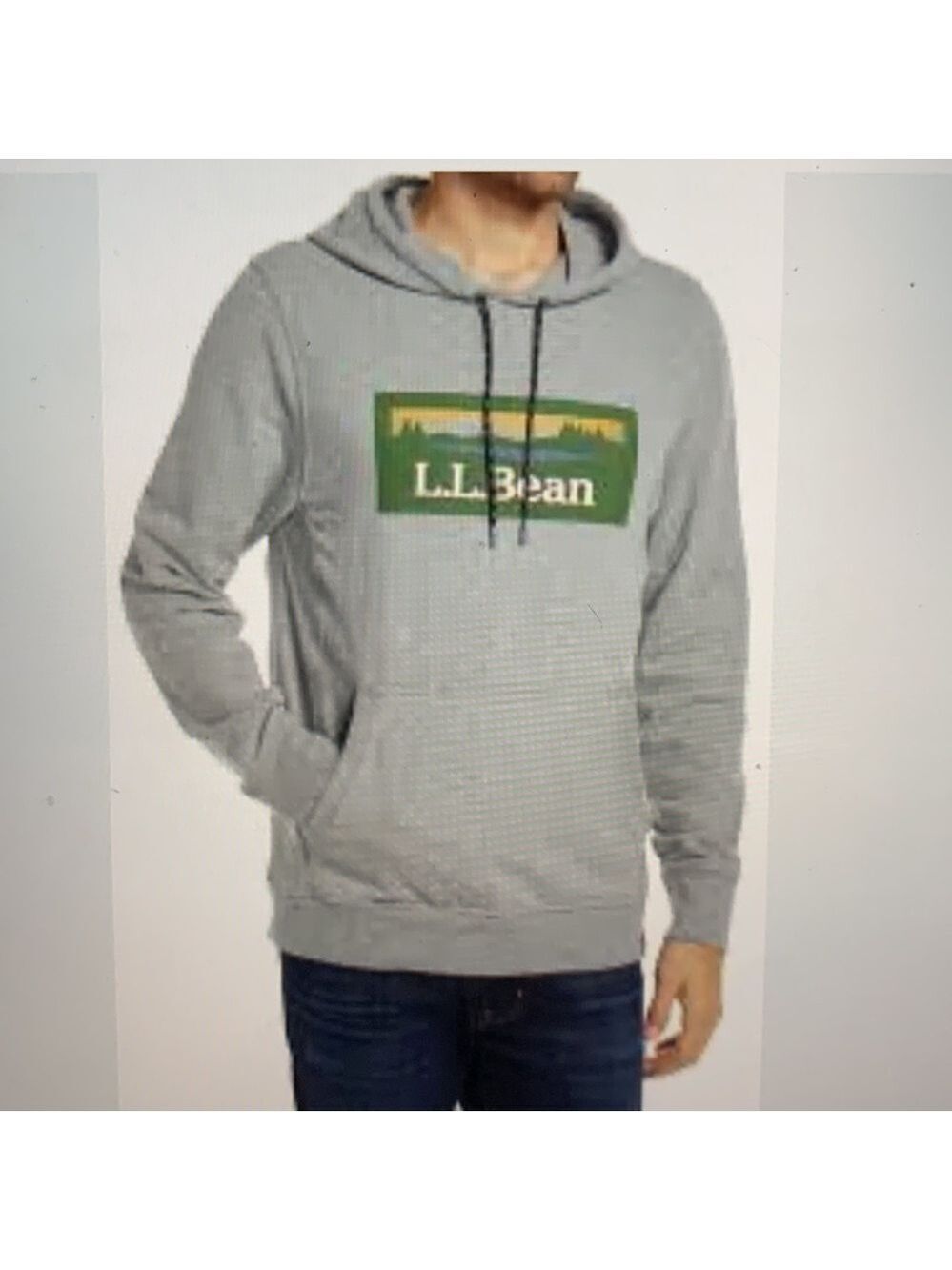 L.L. Bean Men’s Graphic Gorpcore Granola Hoodie Medium